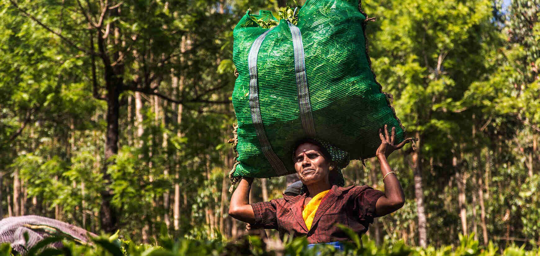 https://cms.aceadvisory.biz/admin/uploads/page/business-in-bangladesh/17471293057tGzH.jpg